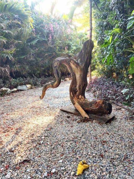 Chale Pais E Filhos Villa Rio de Janeiro Bagian luar foto